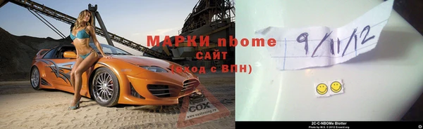 хмурый Аркадак
