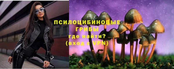 МДПВ Алзамай